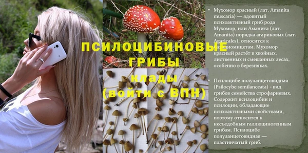 марки lsd Алзамай