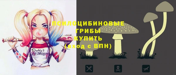 винт Алексеевка