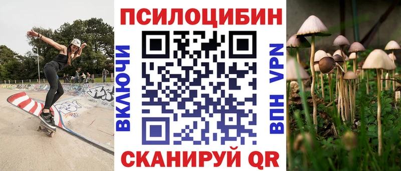 Псилоцибиновые грибы Psilocybine cubensis  Лахденпохья 